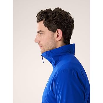 Amazon.co.jp: ARC'TERYX(アークテリクス) アトム SL フーディ